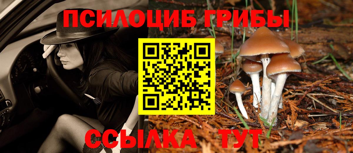 Псилоцибиновые грибы мухоморы Минусинск